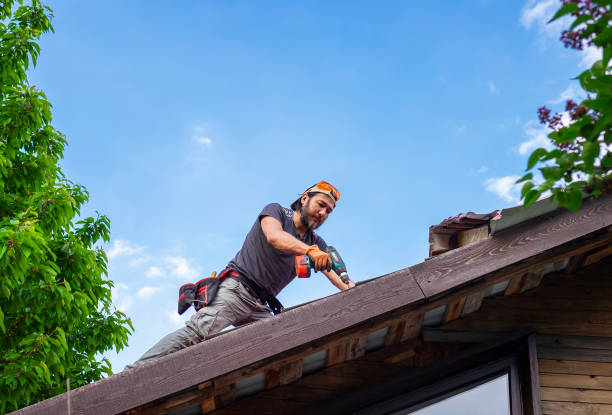 Best Roof Insulation Installation  in Woodland Beach, MI