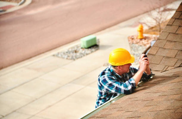 Best Sheet Metal Roofing  in Woodland Beach, MI