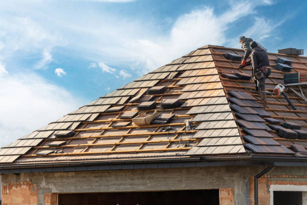 Best Asphalt Shingle Roofing  in Woodland Beach, MI