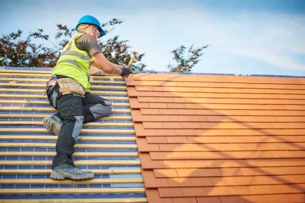 Best Roof Moss and Algae Removal  in Woodland Beach, MI