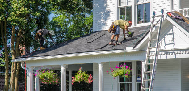 Best Roof Ventilation Installation  in Woodland Beach, MI